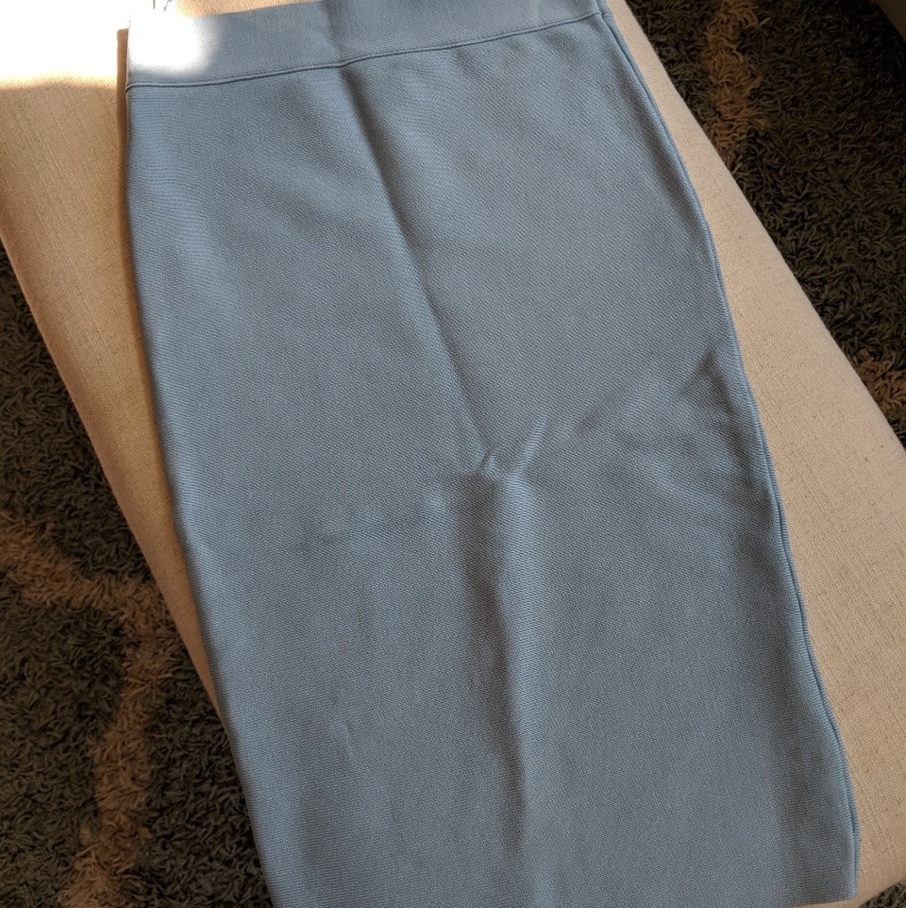 BCBG Blue Bodycon Skirt